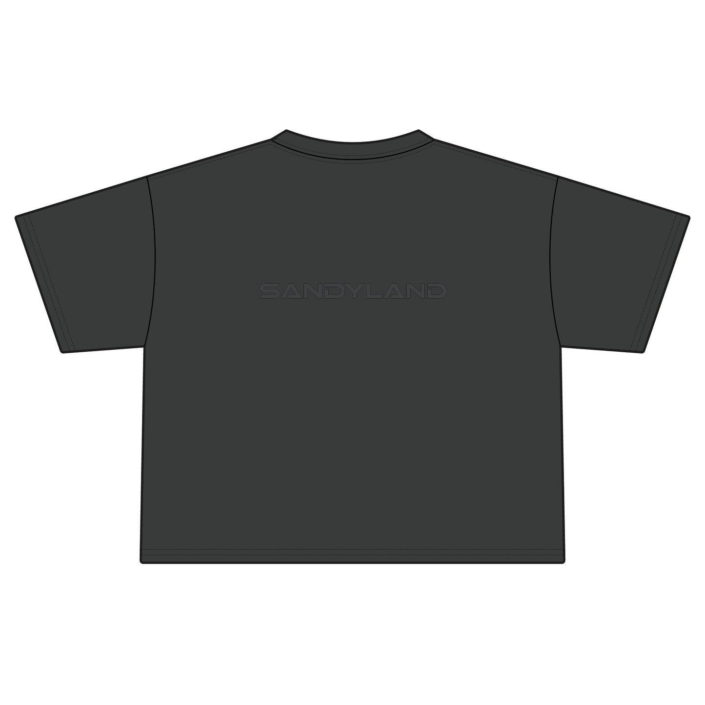 OH NO SANDYLAND Boxy Tee