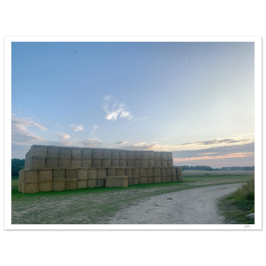 7a837e05-209a-4212-b4c4-404c55d7b502